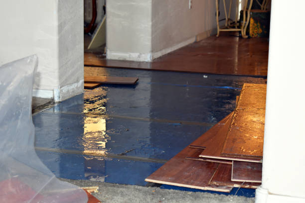 Professional Water Damage technician working in Bergenfield, NJ