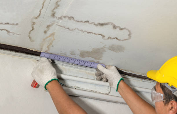 Reliable Water Damage contractor in Bergenfield, NJ by Water Damage Irwin